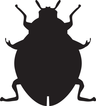 bug isolated silhouette png