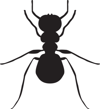 bug isolated silhouette png