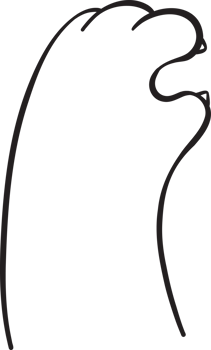 Cute cat paw hand gesture finger doodle outline love heart sign cartoon doodle hand drawing png