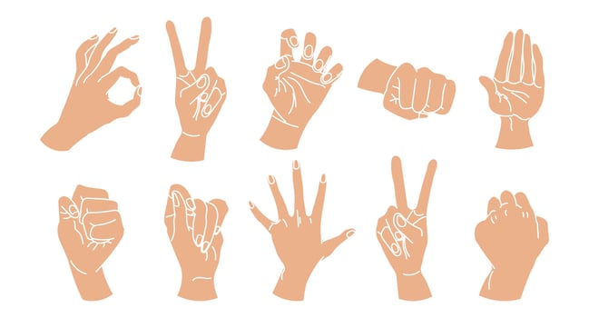 Set of drawn human hands. A set of hands in a collection of various gestures. illustration, vector