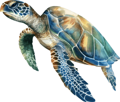 Sea Turtle Watercolor Illustration. png