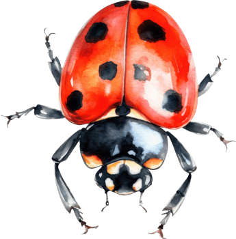 Ladybug Watercolor Illustration. png
