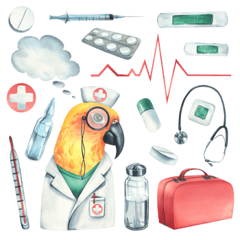 Parrot doctor in a dressing gown, glasses, with a stethoscope, a suitcase and medical instruments, pills, injections. Watercolor illustration, hand drawn. Set isolated png