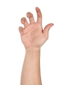 Hand sign isolated with clipping path png