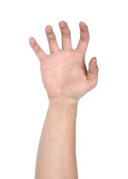 Hand sign isolated with clipping path png