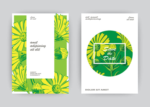 Botanical Chrysanthemum flowers bouquet vector illustration graphic design. Vintage creative flower frame. Vector illustration greeting card, design, poster, print, party, wedding invitation, birthday