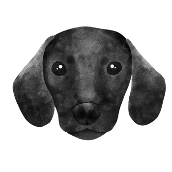 Watercolor illustration of puppy dachshund. png