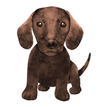 Watercolor illustration of puppy dachshund. png