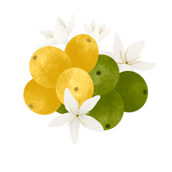 Coffee fruit and flower watercolor illustration. png