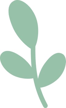Leaves pastel green clipart vector