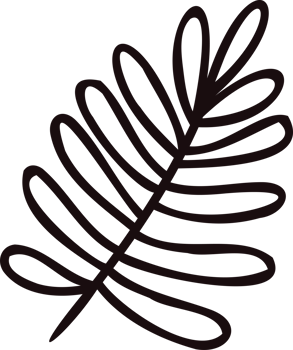 Hand Drawn palm leaves from the top view in doodle style png