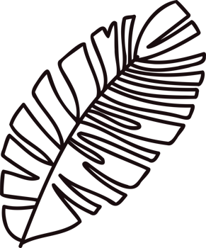 Hand Drawn palm leaves from the top view in doodle style png