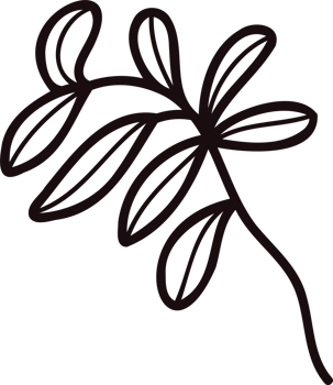 Hand Drawn leaves and twigs from the top view in doodle style png
