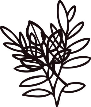 Hand Drawn leaves and twigs from the top view in doodle style png