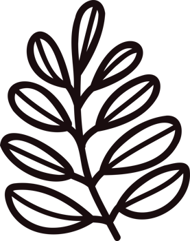 Hand Drawn leaves and twigs from the top view in doodle style png