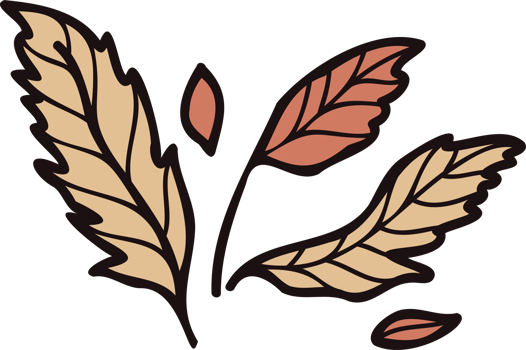 Hand Drawn leaves and twigs from the top view in doodle style png