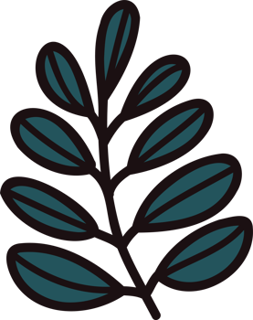 Hand Drawn leaves and twigs from the top view in doodle style png