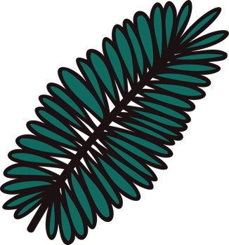 Hand Drawn palm leaves from the top view in doodle style png