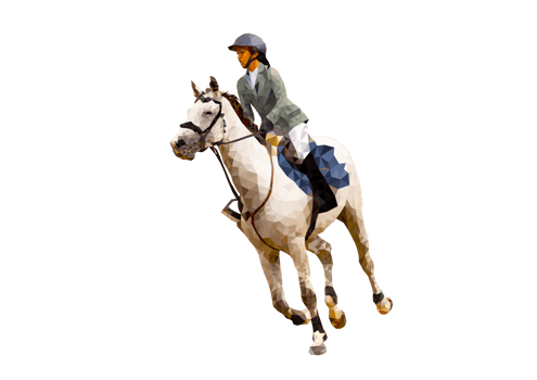 transparency Graphics design drawing polygon style horse racing woman for the race illustration png