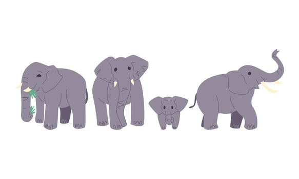 set of cute elephant's in cartoon style. different size, age, pose. isolated on white background. flat vector illustration.