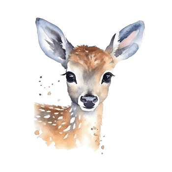 Watercolor little deer isolated on transparent background. png
