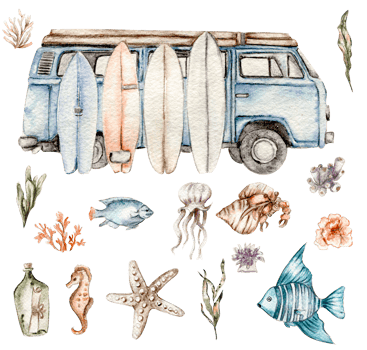 watercolor set of seashells, seahorse, starfish, bubbles. png