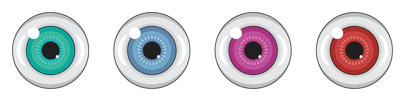 Flat eye in green blue grey pink red color isolated element vector