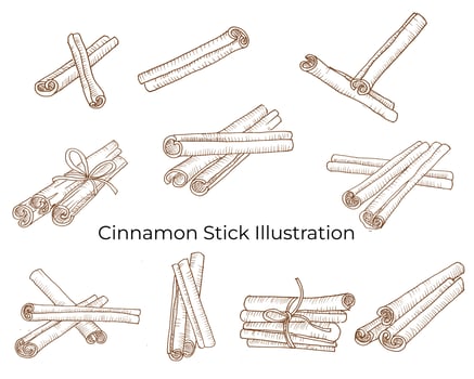 Cinnamon Stick Line Art for Food Label vector