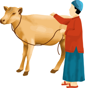 Muslim with Cow or animal Qurban for Eid Al Adha png