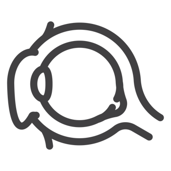 human eye, lens focus inside an eyeball, simple thin line icon png
