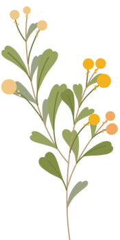 Simple Botanical elements png
