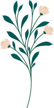 Simple Botanical elements png