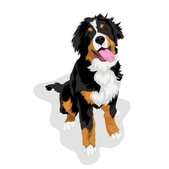 Bernese Mountain Dog cartoon vector