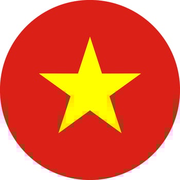 round Vietnamese flag of Vietnam vector