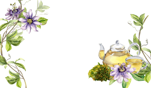 Board of glass teapot and cup, passion flower, stem watercolor illustration. Herbal tea, health drink, maracuja, flower hand drawn. Design for wrapping, menu, packaging, banner. png