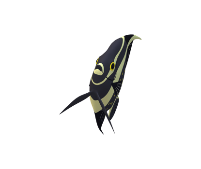 Angel Fish isolated on a Transparent Background png