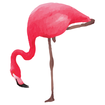 Pink flamingo Tropical Clip art Element Transparent Background png
