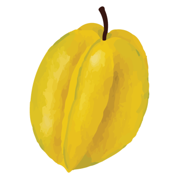 Star Fruit Yellow Fruits Clip art Element Transparent Background png