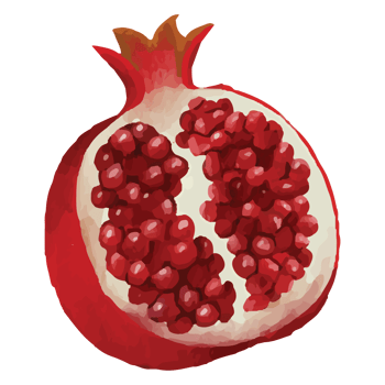 Pomegranate Red Fruit Clip art Element Transparent Background png