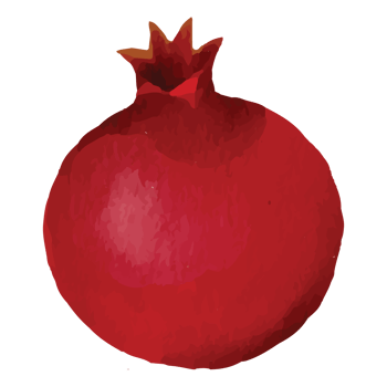 Pomegranate Red Fruit Clip art Element Transparent Background png