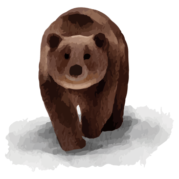 Bear Winter Animal Polar animal Clip art Element Transparent Background png