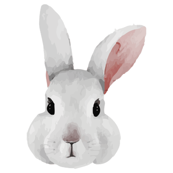 Cute Rabbit Clip art Element Transparent Background png