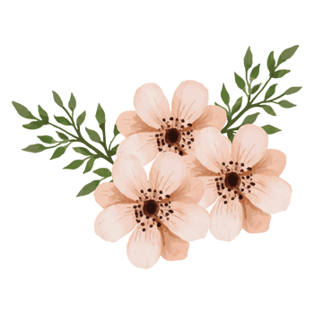 Flower Clip art Element Transparent Background png