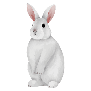 Cute Rabbit Clip art Element Transparent Background png