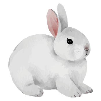 Cute Rabbit Clip art Element Transparent Background png
