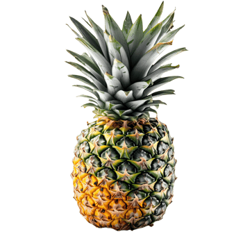 Summer Fruit of Pineapple Isolated on Transparent Background. . png