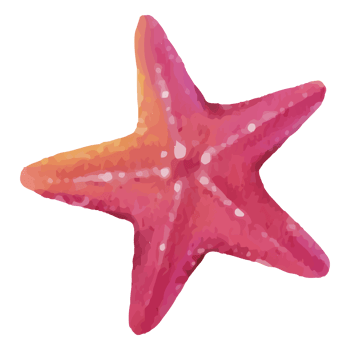 Starfish Underwater Clip art Element Transparent Background png