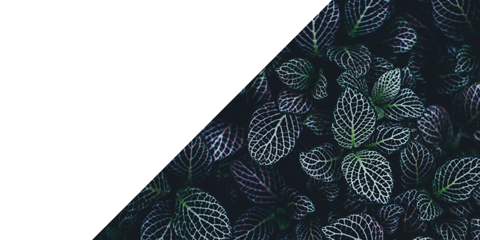 Transparent texture background png