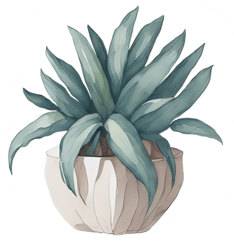 Watercolor House plant. png