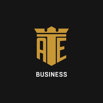AE initial logo with shield and crown style vector
